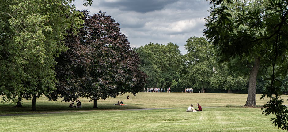 A wide view of Clapham Common featuring lush green grass and mature trees with dense foliage, including a large dark-leaved tree on the left and a leafy tree on the right. In the foreground, two peopl