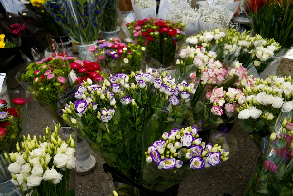 A vibrant display of freshly cut flowers at Clapham Flowers, featuring purple and white eustoma (lisianthus) arranged in sleek bouquets, alongside clusters of pink and red aster flowers, all wrapped i
